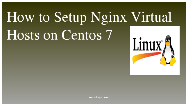 How to Setup Nginx Virtual Hosts on Centos 7